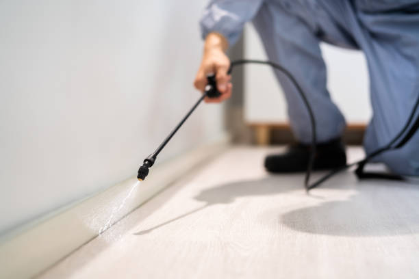 Licensed Termite Control service in Charleston, IL - Nex Pest Control