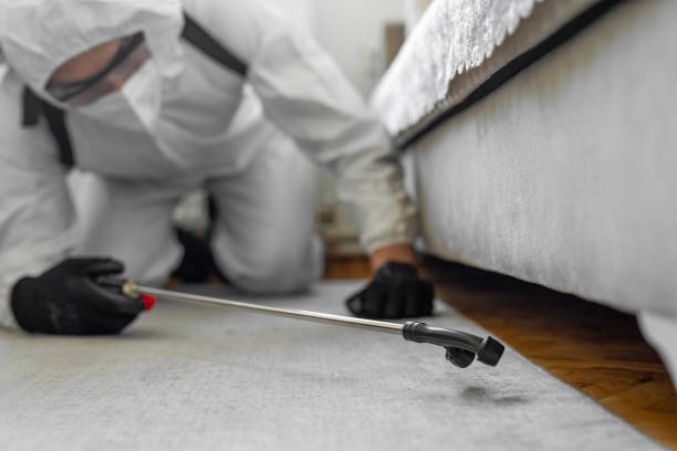 Professional Termite Control technician working in Charleston, IL