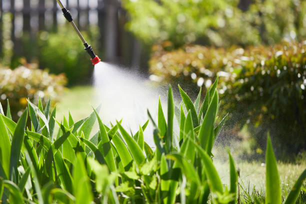 24/7 Emergency Termite Control experts in Charleston, IL