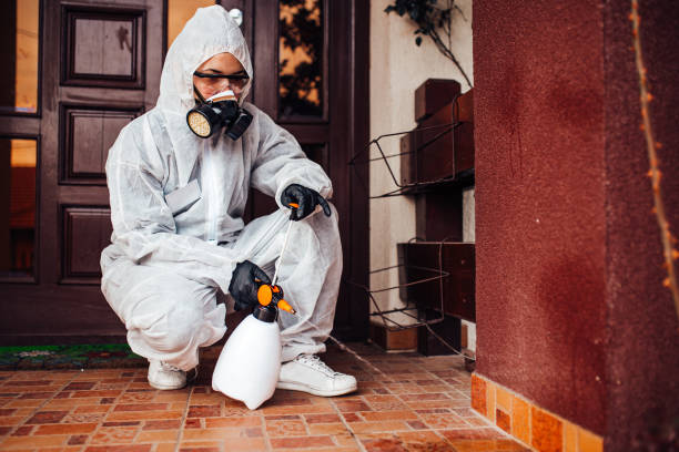 Reliable Termite Control contractor in Charleston, IL by Nex Pest Control