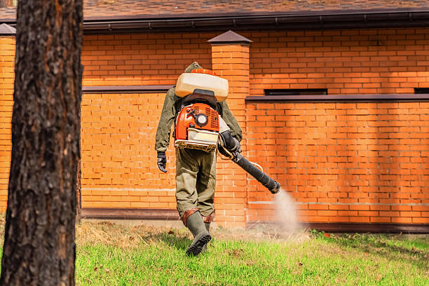 Top rated local Termite Control specialists in Charleston, IL
